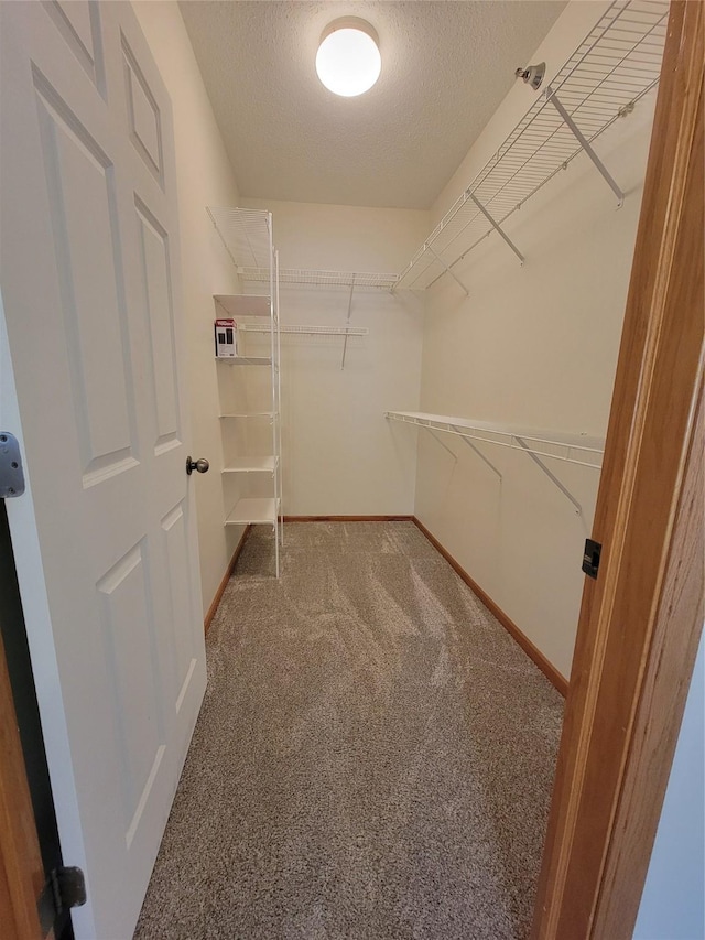 1210 NE 6th Ln Unit I9, Ankeny, IA 50021 - walk in closet featuring carpet floors