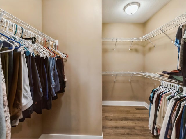 walk in closet featuring wood finished floors