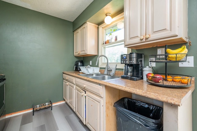102 Wall Ave, Des Moines, IA 50315 - kitchen with a sink, light countertops, light wood-style floors, and a textured ceiling
