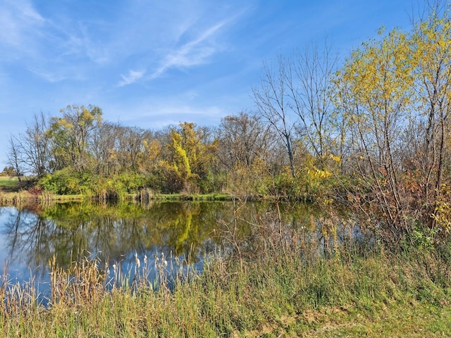 1132 S Goodrich St, Colfax, IA 50054 - water view