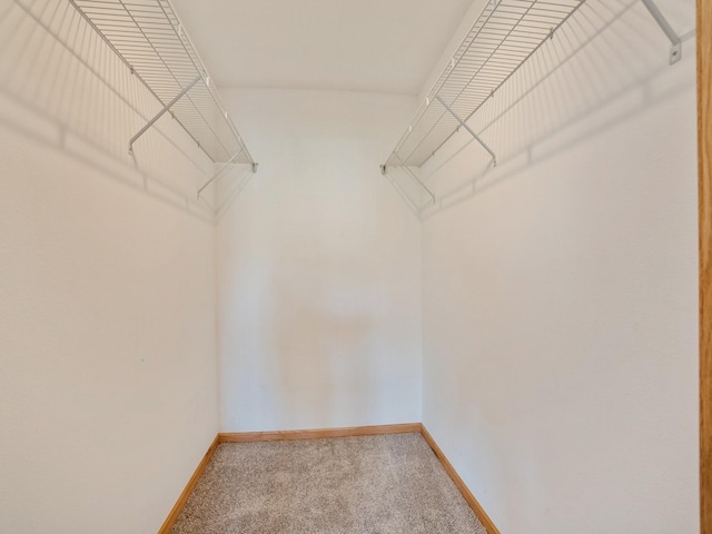 1132 S Goodrich St, Colfax, IA 50054 - walk in closet with carpet floors