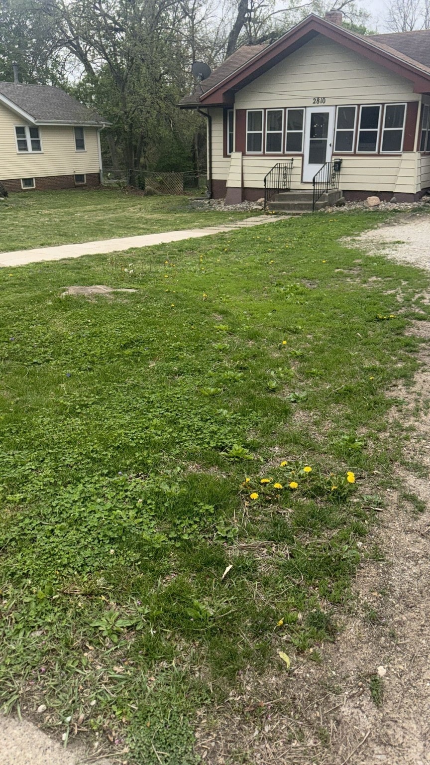 view of green lawn