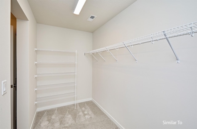spacious closet featuring carpet