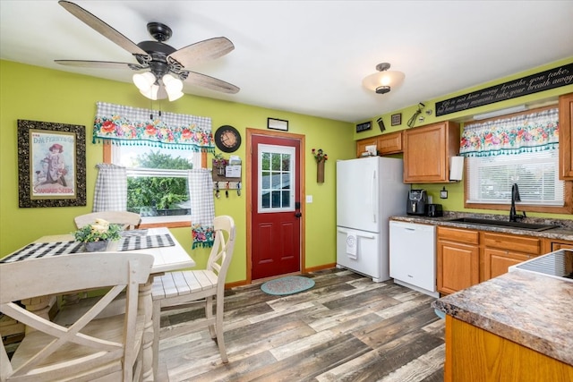kitchen featuring white appliances, a sink, healthy amount of natural light, and wood finished floors