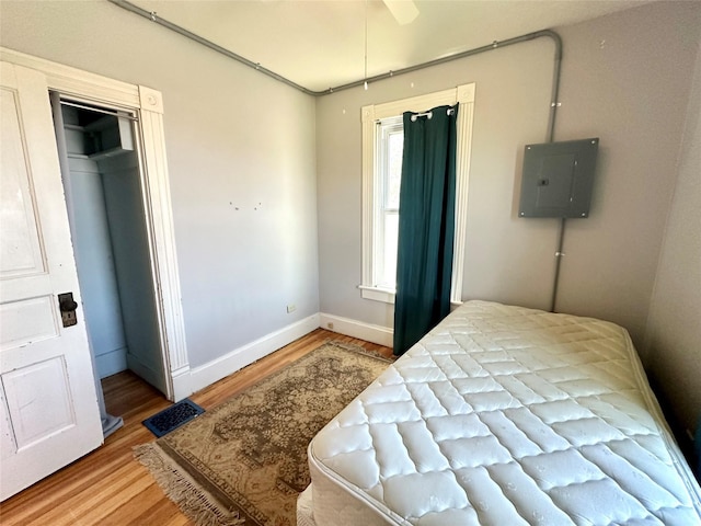 bedroom with electric panel, wood finished floors, and baseboards