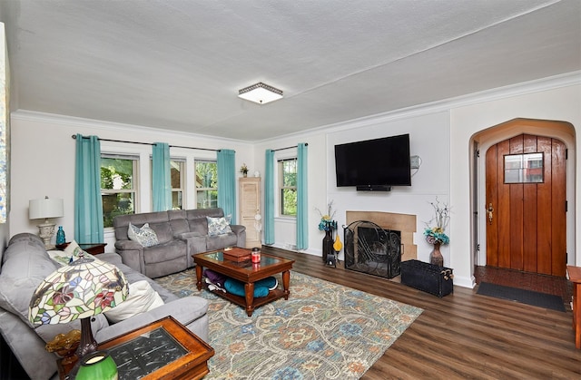 living area with ornamental molding, wood finished floors, plenty of natural light, and a fireplace