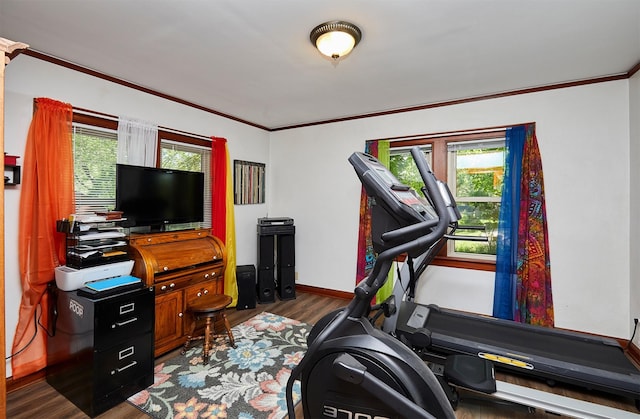 exercise room with wood finished floors, ornamental molding, and baseboards