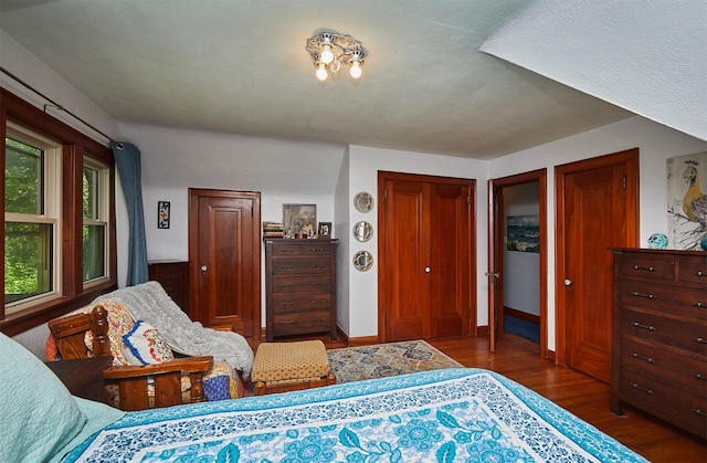 bedroom featuring wood finished floors and multiple closets