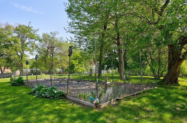 view of yard featuring a garden
