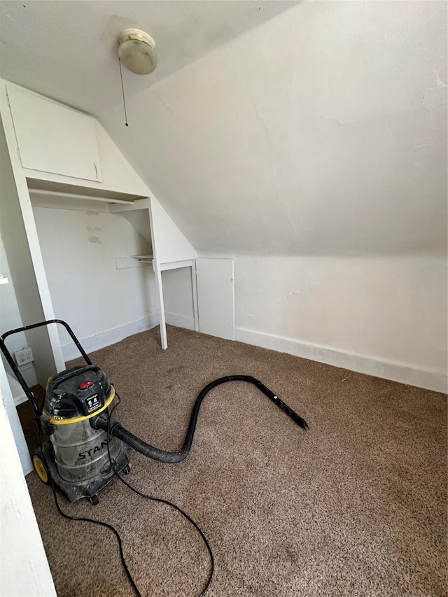 additional living space featuring vaulted ceiling and carpet flooring