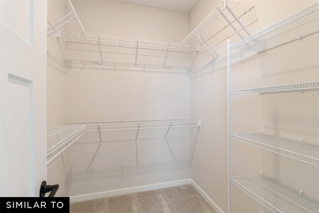 2615 SE Kettleridge Ln, Waukee, IA 50263 - walk in closet with carpet floors