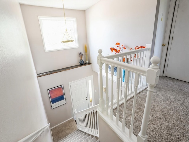 5031 Cherrywood Dr, West Des Moines, IA 50265 - stairs with carpet floors