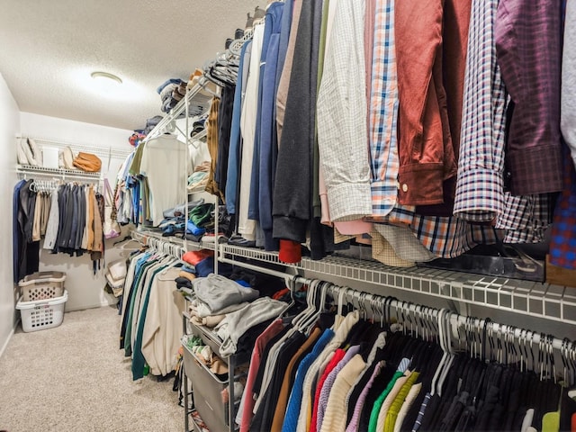5031 Cherrywood Dr, West Des Moines, IA 50265 - walk in closet featuring carpet flooring