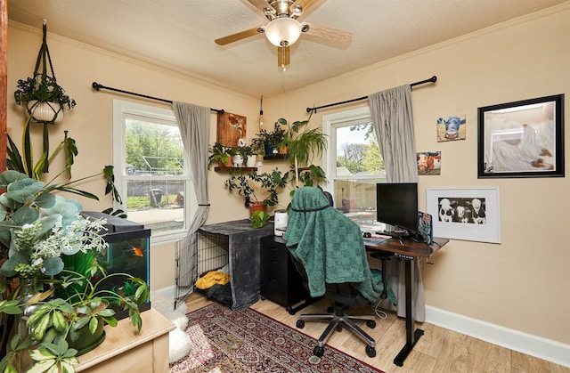 office featuring wood finished floors, healthy amount of natural light, ornamental molding, baseboards, and ceiling fan