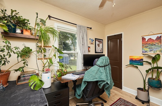 office area featuring ornamental molding, light wood-type flooring, a textured ceiling, ceiling fan, and baseboards