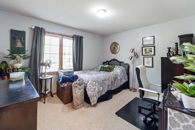 3905 NW 4th St, Ankeny, IA 50023 - bedroom with carpet and a textured ceiling