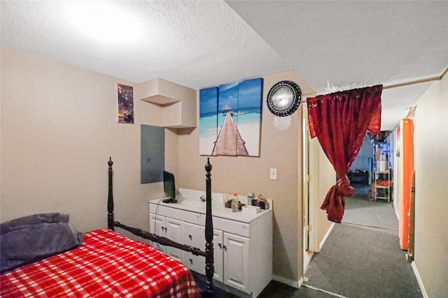 1424 Cleveland Ave, Des Moines, IA 50316 - bedroom featuring a textured ceiling, baseboards, and carpet flooring