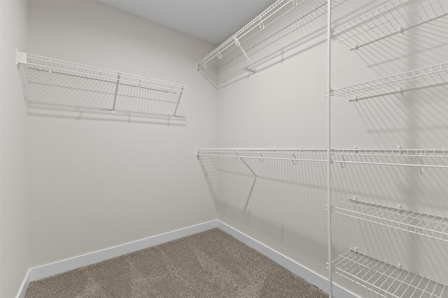 1998 S Warrior Ln, Waukee, IA 50263 - walk in closet featuring carpet