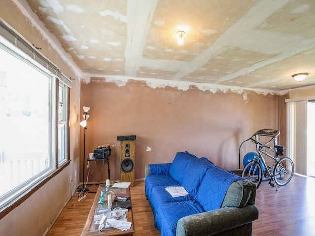 living room featuring wood finished floors