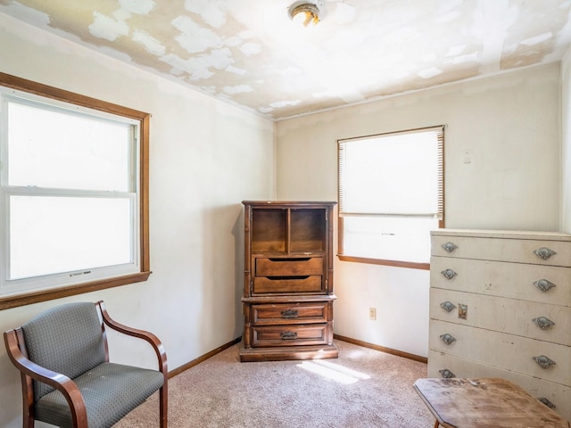 sitting room featuring carpet and baseboards