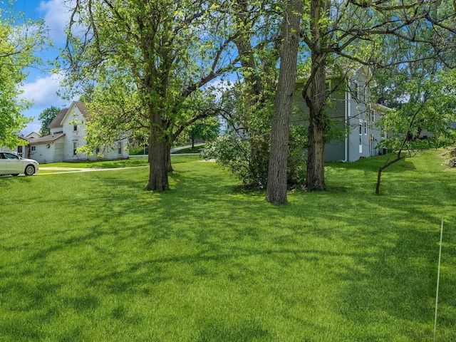 view of green lawn