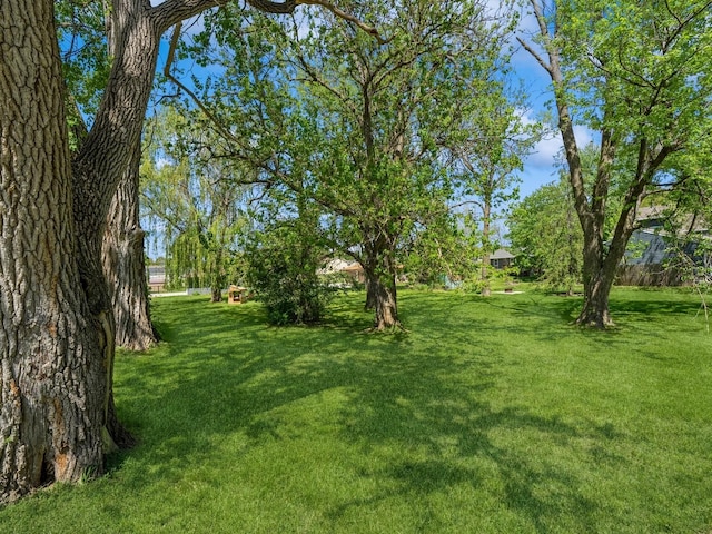 view of grassy yard