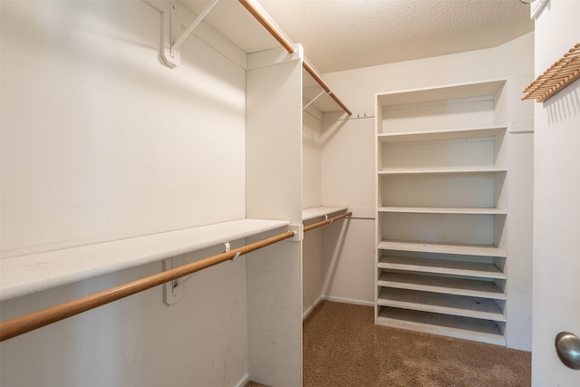 15046 Summit Dr, Clive, IA 50325 - spacious closet featuring carpet floors