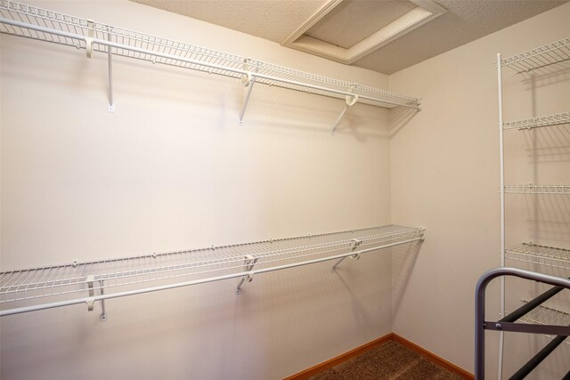 1509 SE Delaware Ave Unit 10, Ankeny, IA 50021 - spacious closet with attic access and carpet