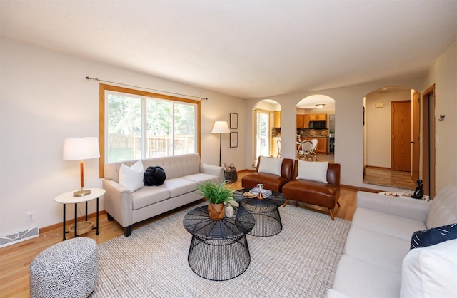 10476 Ricardo Rd, Clive, IA 50325 - living area featuring arched walkways, light wood-style flooring, and baseboards