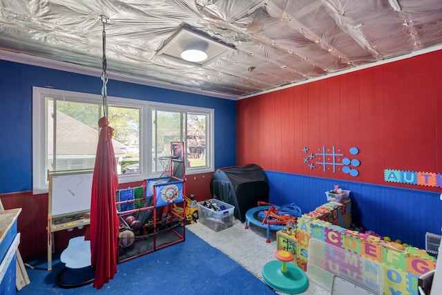 910 Washington St, Eldora, IA 50627 - playroom featuring healthy amount of natural light, wooden walls, wainscoting, and carpet