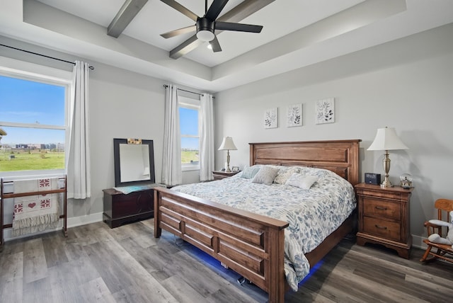 425 NW Woodmoor Dr, Waukee, IA 50263 - bedroom featuring wood finished floors, a raised ceiling, a ceiling fan, and baseboards
