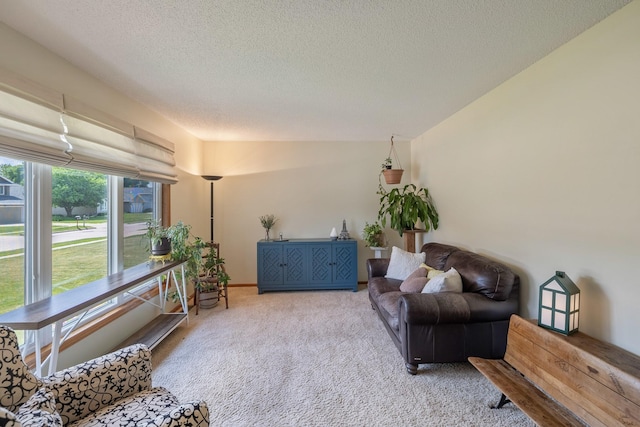 8123 Brookview Dr, Urbandale, IA 50322 - carpeted living room featuring a textured ceiling
