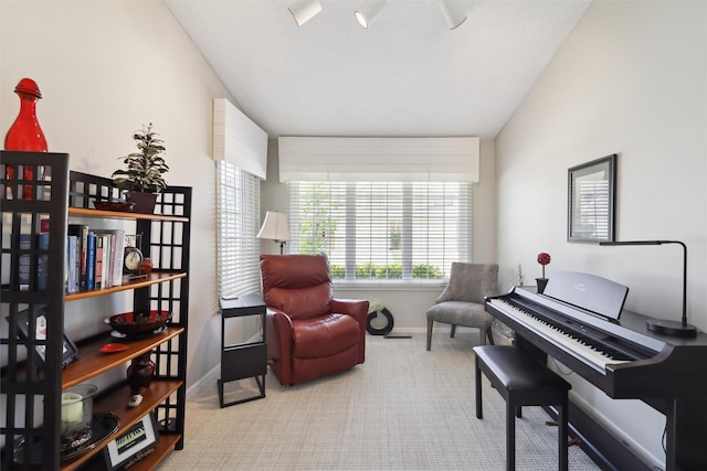 4400 Ep True Pkwy Unit 51, West Des Moines, IA 50265 - sitting room with carpet floors and baseboards