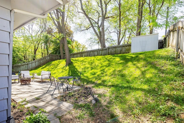 view of yard with a patio, a storage unit, an outbuilding, and a fire pit