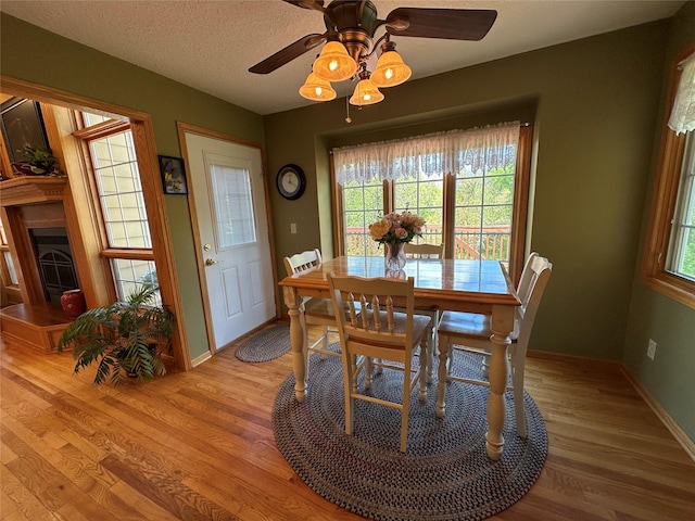 711 E Madison St, Winterset, IA 50273 - dining space featuring light wood finished floors, plenty of natural light, baseboards, a fireplace with raised hearth, and a textured ceiling