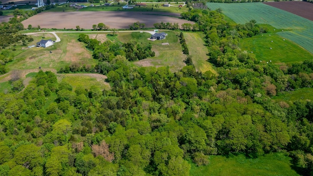 7291 70th Ave, Indianola, IA 50125 - photo 24