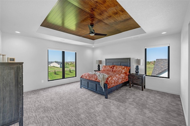 5804 NE Terrace Ridge Dr, Ankeny, IA 50021 - photo 18