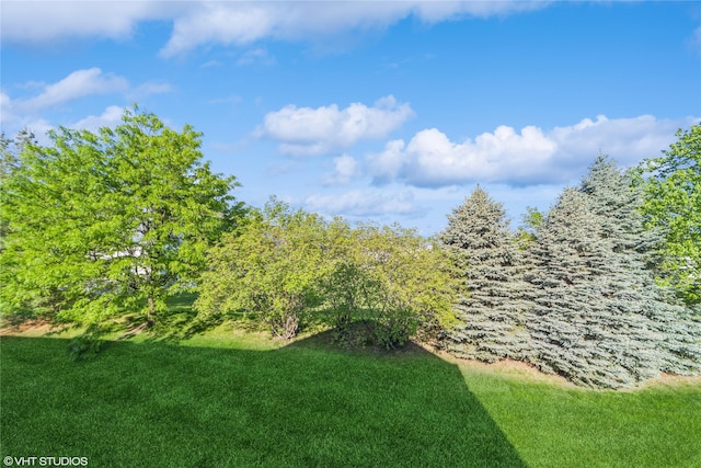 view of green lawn