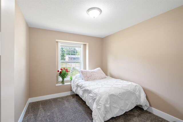 208 Mckinley Ave, Des Moines, IA 50315 - bedroom featuring carpet floors and baseboards