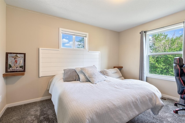 208 Mckinley Ave, Des Moines, IA 50315 - bedroom with multiple windows, baseboards, and carpet