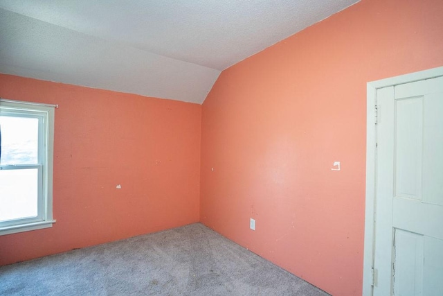 1209 Spencer St, Grinnell, IA 50112 - bonus room with carpet floors, vaulted ceiling, and plenty of natural light