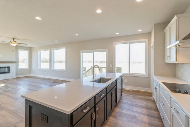 17151 Plum Dr, Urbandale, IA 50323 - kitchen featuring a sink, black electric stovetop, ceiling fan, baseboards, and light wood-style flooring