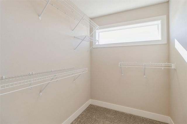 17151 Plum Dr, Urbandale, IA 50323 - spacious closet featuring carpet floors
