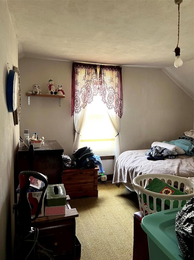 1013 E 10th St N, Newton, IA 50208 - bedroom with carpet, vaulted ceiling, and a textured ceiling
