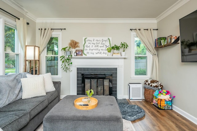 living room with a glass covered fireplace, crown molding, wood finished floors, healthy amount of natural light, and baseboards