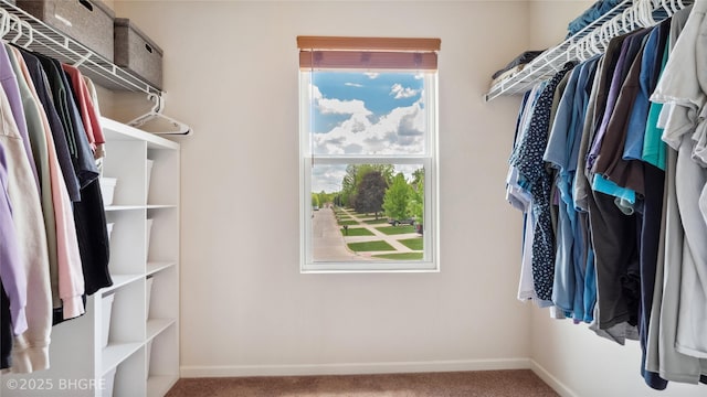 1508 E Euclid Ave, Indianola, IA 50125 - walk in closet featuring carpet