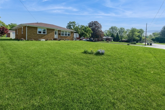 view of grassy yard