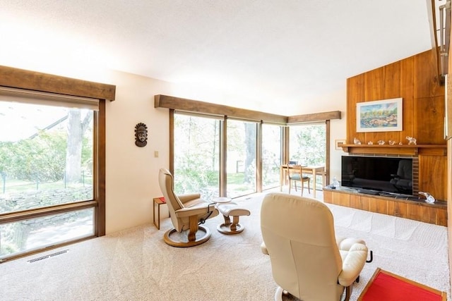 3312 Oakland St, Ames, IA 50014 - view of carpeted living room