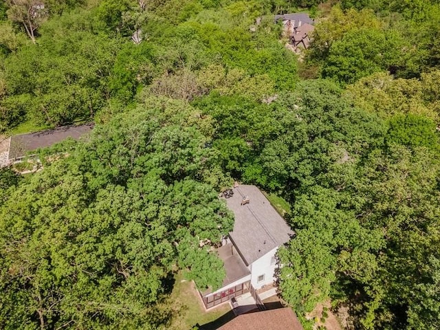 3312 Oakland St, Ames, IA 50014 - bird's eye view of a forest