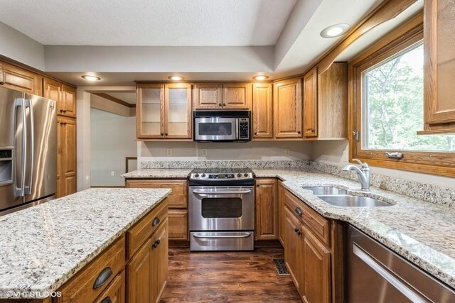 6406 Theresa Dr, Johnston, IA 50131 - kitchen featuring appliances with stainless steel finishes, a sink, light stone counters, dark wood finished floors, and glass insert cabinets